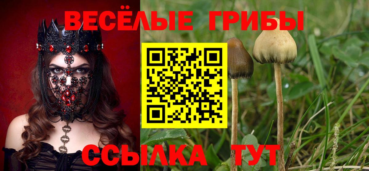 Соликамск  Псилоцибиновые грибы MAGIC MUSHROOMS  Вход с VPN  Галлюциногенные грибы MAGIC MUSHROOMS 
