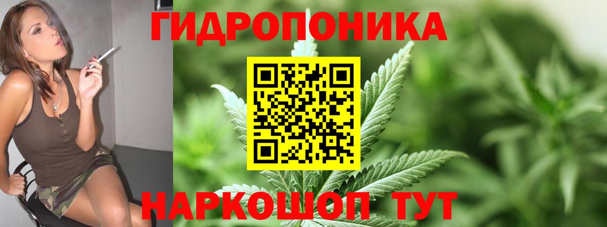 Бошки марихуана Bruce Banner Соликамск